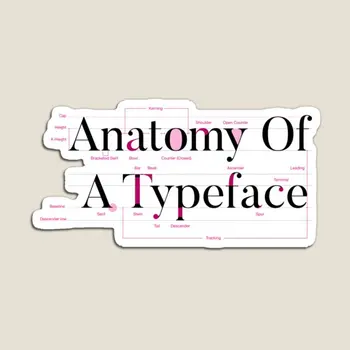 Графический дизайнер Anatomy Of A Typeface, Магнит для дома, Магнитная Детская игрушка, Холодильник, Детские Красочные наклейки для декора